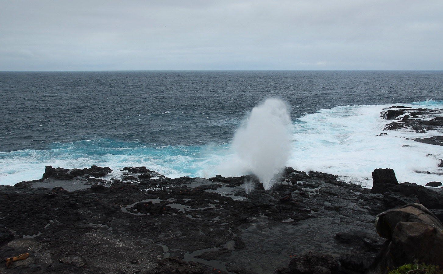 Isla Española [22 mm, 1/250 Sek. bei f / 8.0, ISO 100]